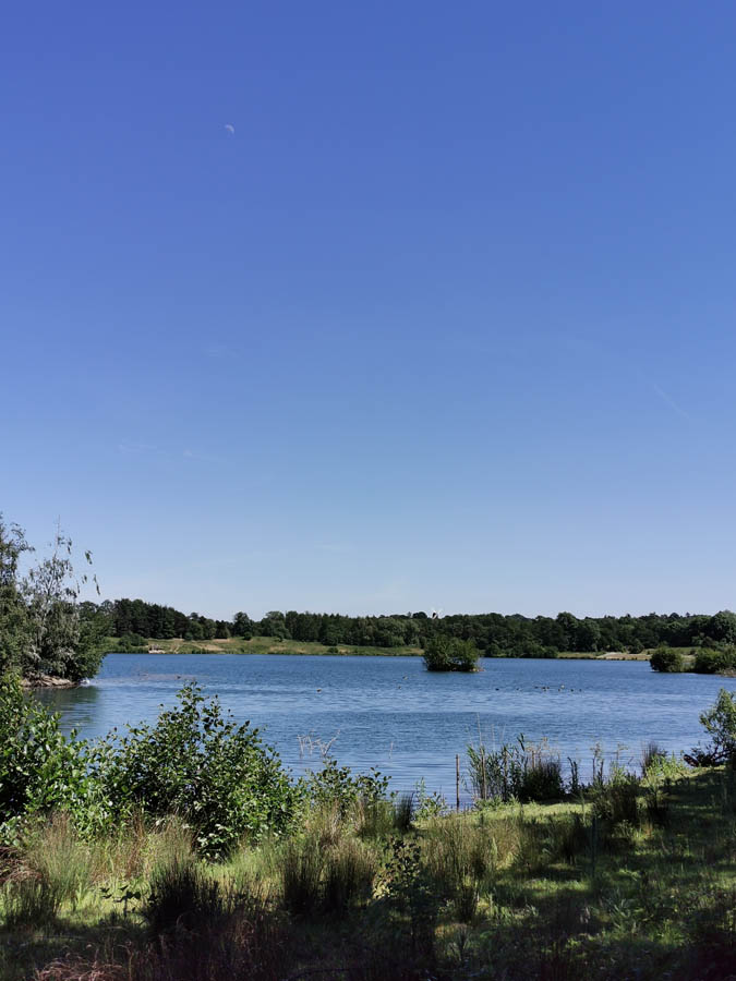 blue-lake-surrounded-by-grasses-trees-shrubs-with-blue-skies-buckland-park-lake-surrey