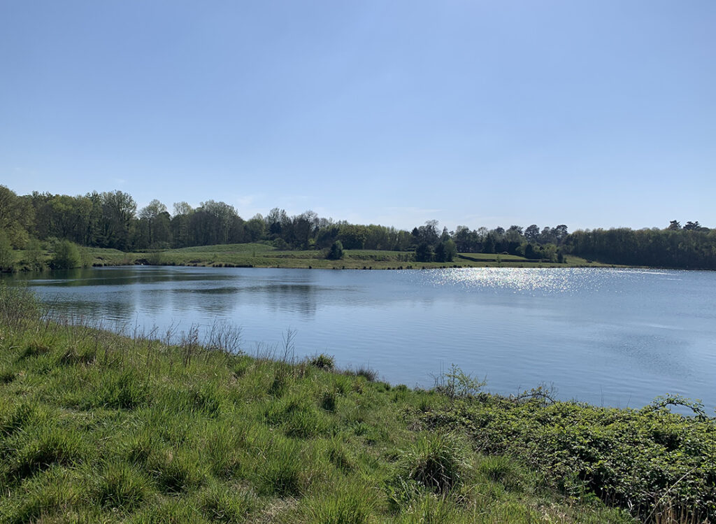 tranquil blue lake grassy shores blue sky freshwater lake buckland park lake surrey