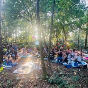 people in a forest doing yoga